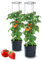 Tymar Tomato Pot with Trellis and Water Reservoir, Pack of 2, Diameter 30 cm, Outdoor/Indoor, Self Watering