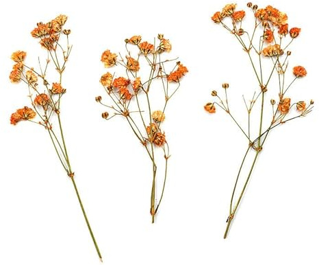 Crysdaralovebi 120 Stück natürliche Schleierkraut, getrocknete Blumen, kleine Blumen, Blumenstrauß, trockene Blumen, Mini-Dekoration, Fotografie-Hintergrund (orange)