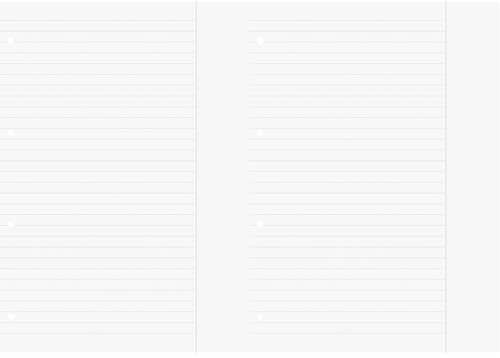 Brunnen 1066945 Ringbucheinlagen A4 (liniert mit Rand, Lineatur 25, 100 Blatt, 70 g/m²), weiß (Packung mit 2)