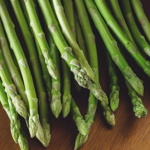 Debaere - 10 griffes Asperge verte VOLTAIRE 1 AN