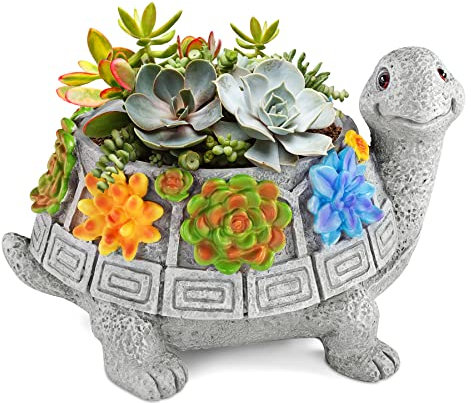 Grovind Vasi per piante, simpatici vasi per succulente con foro di drenaggio, vasi da giardino per cactus, regali per la casa, ufficio, scrivania, giardino, per la donna