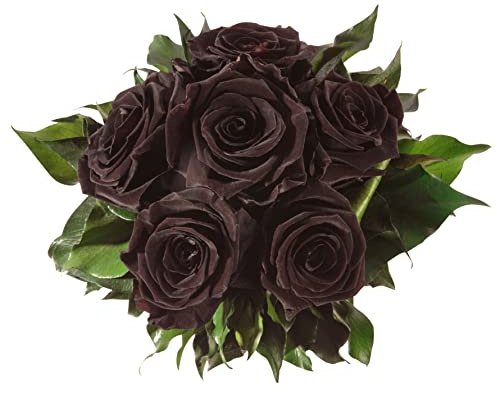 ROSEMARIE SCHULZ Heidelberg Infinity Blumenstrauß echte konservierte Rosen Lange haltbar bis zu 3 Jahre (6 Rosen, Schwarz)