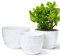 Gardrium Lot de 3 Pots 30,5/25,4/22,9 cm de Fleurs en Plastique Plantes, Jardinières Modernes avec Trous de Drainage et Soucoupe Détachable, Blanc moucheté