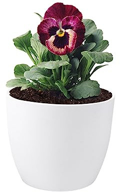 TOYANDONA Pot De Fleur à Absorption Automatique Eau Pot De Jardin Rond Indicateur De Eau pour Bureau Et Jardin Intérieur