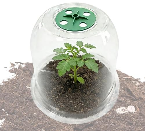 Protezione antigelo per piante – copertura trasparente per fiori – protezione dal freddo – per serra, giardino, balcone, asilo nido casa inverno