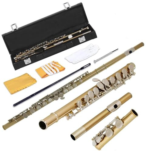 Querflöte Instrument Gold- Und Silberflöte Geschlossenes Loch C-Rille – Musikinstrument-Anfängerflöte Mit Box-Handschuh-Tuch