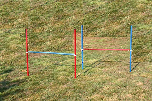 Wuzzmann 2 x agility-övning-set i blå/röd