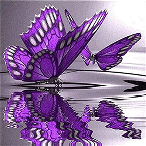 Meecaa Kreuzstich Set Vorgedruckt 11ct, Stickpackungen bunte Schmetterlings Reflexions Stickset mit Zubehör Erwachsene Anfänger Cross Stitch