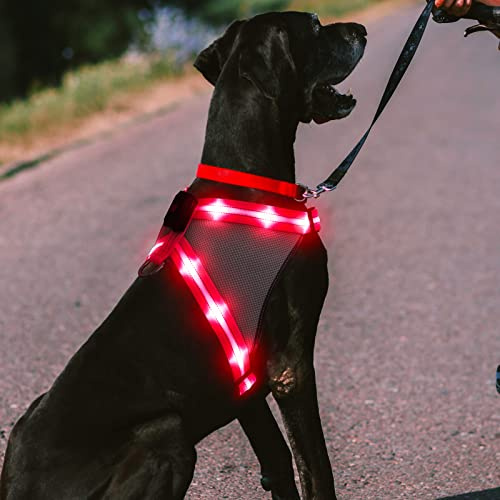 ChalkLit Leuchtendes Hundegeschirr, reflektierendes LED-Hundegeschirr, leuchtet im Dunkeln, für nächtliche Spaziergänge, über USB wiederaufladbar, beleuchtete Sicherheitsweste für mittelgroße Hunde