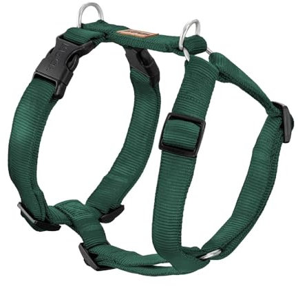 Koch Premium Geschirr Grün M 25mm Gurtbreite, Immer Voll gepolstert, Hundegeschirr 5-Fach verstellbar, verstellbar auch am Bauch