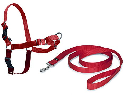 PetSafe Hundegeschirr S/M, Easy Walk Brustgeschirr rot, kein Ziehen, einfaches An-und Ausziehen, für kleine/mittelgroße Hunde, 1,8 m Leine, erhältlich in 7 Größen und 3 Farben