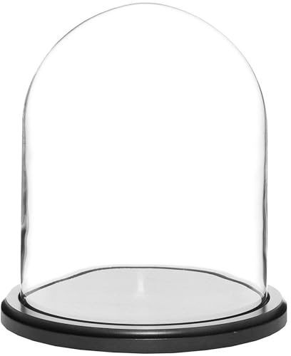 Plymor 8 x 10.25 Glass Display Dome Cloche (Black MDF Wood Base)