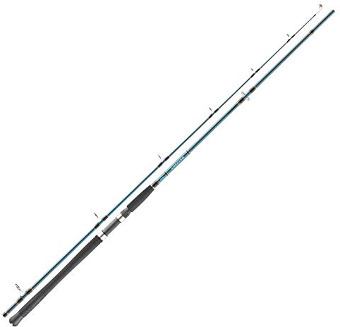 Daiwa Pilkrute - Saltist Sea 2,70m 40-110g