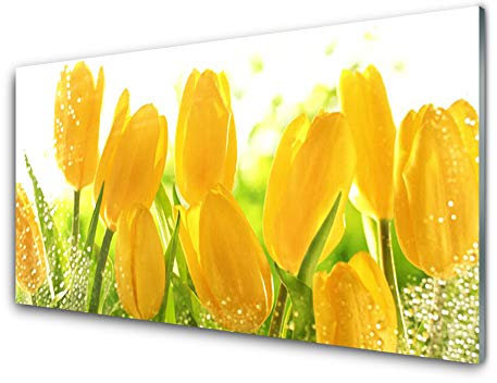 Tulup Acrylic Print 100x50cm Wall Art - Wall Picture on Plastic Acryl Glass - Tulips Floral