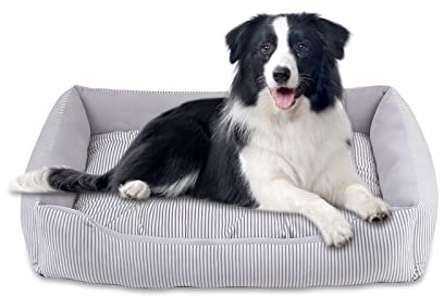 Galatée Hundebett, Warmes Weiches Bequemes Haustiersofa, Hochelastisches Schwamm-Hundesofa, Luxuriöses Katzenkissenbett, Katzenbett Mit Doppelseitigem Innenkissen(M, Grau)