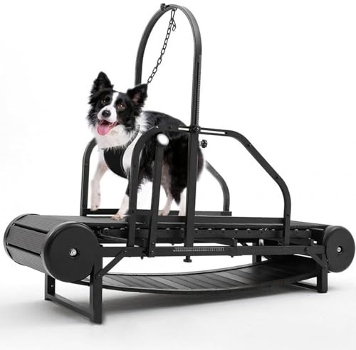 GEJLELDS Dog Treadmill for Medium Dogs,Large Dogs,Adjustable Ramp Canine Running Slatmill Machine with Pedometer for Exercise & Healthy & Fit Pet Life,Dog Slatmill for up to 300 lbs