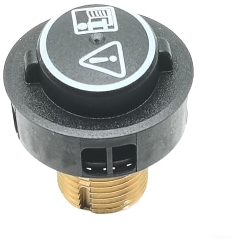 Soupape de sécurité en laiton pour aspirateur Karcher, pour aspirateur SC4 SC5, bouchon de réservoir de nettoyeur vapeur (1 pièce)