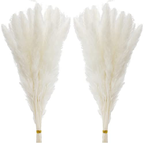 60 Pcs White Pampas Grass ,17 inch/45 cm Natural Dried Pampas Grass Branches Decor for Home Kitchen Garden Party Photographing Flower Arrangement Vase Decor（White