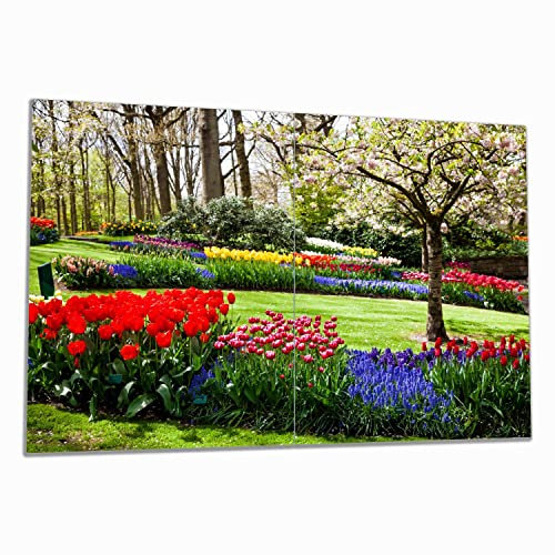 Wallario Herdabdeckplatte/Spritzschutz aus Glas, 2-teilig, 80x52cm mit 8 mm hohen Füßen, für Ceran- und Induktionsherde, Bunte Blumen und Kirsch-Baum im Park blühen im Frühling
