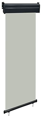 LAPOOH Balkon-Seitenmarkise, Windschutz, Seitenmarkise, Sichtschutz Ausziehbar, Seitenwandmarkiese, 60 × 250 cm Grau