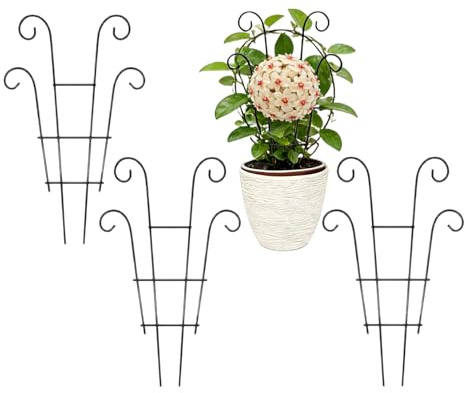 Lot de 4 Treillis pour grimpantes - Petites colonnes de Croissance Verticales - 35,5 cm - pour Chambre, Maison, Balcon, terrasse, Pots Monstera vin Lierre