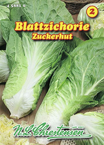N.L. Chrestensen 458810 Blattzichorie Zuckerhut (Blattzichoriesamen)