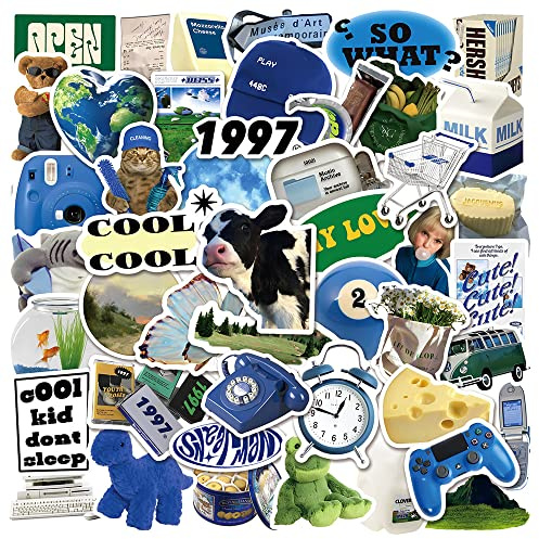 50PCS Cute Blue Girl Heart Ins Stickers, Realistic Aesthetic Vsco Trendy Stickers Packs for Water Bottles, Laptop, Phone, Kawaii Vinyl Waterproof Decals for Girls Teens Kids Adults