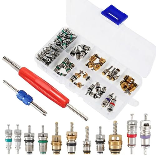 100Pcs R134A A/C Valve Core Accessories, Valve Driver Tool Set with 2 Double Head Removers, 1 Storage Box, Car Tire Valve Core for Bicycle, Motorcycle, Air Conditioning Replacement and Maintenance