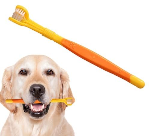 Spazzolino da denti per gatti, spazzolino da denti a tre teste, facile da impugnare, per l'igiene orale del gatto, per animali domestici