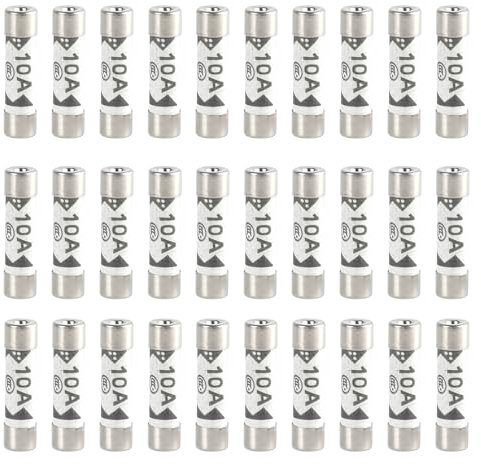 Lot de 30 fusibles tubulaires en céramique 10 A haute performance pour une utilisation domestique sûre