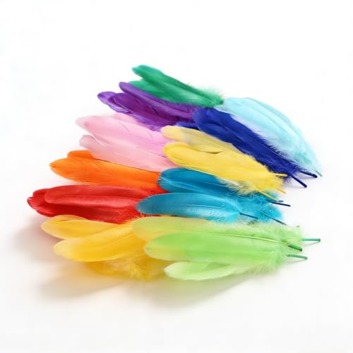 Tourima DIY Bastelfedern Set 50 STK, Hell Bunte Federn Zum Basteln & Dekorieren, Große Federn Bunt & Weiß,Feder Set Für Traumfänger Basteln Kinder, Ohrringe, Oster Deko, Bastelbedarf & Bastelmaterial