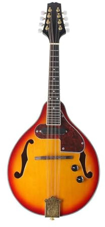mandolin instrument 8 string electric mandolin A style rosewood fingerboard stringed instrument