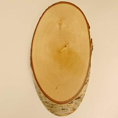 Birke Rothirsch AF 41 cm Hirsch Schild Trophäenschild Geweih Baumscheibe Baumschild Natur Holz modern