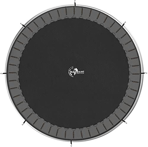 Baunsal® Trampolin Sprungtuch, Sprungmatte – erhältlich in vielen Größen | Ersatzmatte, Sprungnetz, Matte reißfest, robust, langlebig, reißfest, UV-beständig ein hochwertiges Ersatzteil