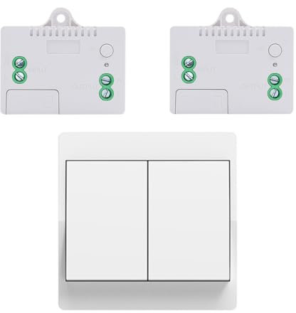 Cerhot EU Self Powered Wireless Light Switch Kit Remote Light Switches Wireless No Wiring No Battery Kinetic Light Switch Wireless Radio Wall Switches For Home Lighting (EU 2Gang 1V2 A）