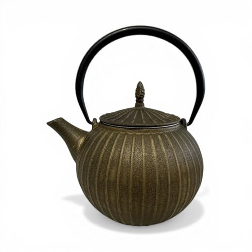SO SKIN IDASY – Théière japonaise en fonte 0.9L, style traditionnel, forme citrouille, filtre en acier inoxydable alimentaire, intérieur émaillé, fabrication artisanale, couleur bronze antique.