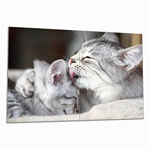 Wallario Herdabdeckplatte/Spritzschutz aus Glas, 2-teilig, 80x52cm mit 8 mm hohen Füßen, für Ceran- und Induktionsherde, Süße kleine getigerte Katzenbabys