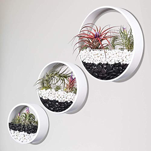 FLBT Set mit 3 runden hängenden Pflanzgefäßen, Wand-Pflanzgefäßen, Wandvase aus Metall, runder Feengarten, hängende Wand-Pflanzgefäße (weiß)