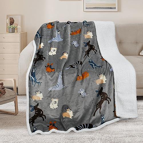 Cane grigio Sherpa Fleece Throw Coperta, caldo spesso morbido invernale sofficio peluche divano Throw, reversibile accogliente pile coperta divano letto singolo, All Season 150 x 130 cm