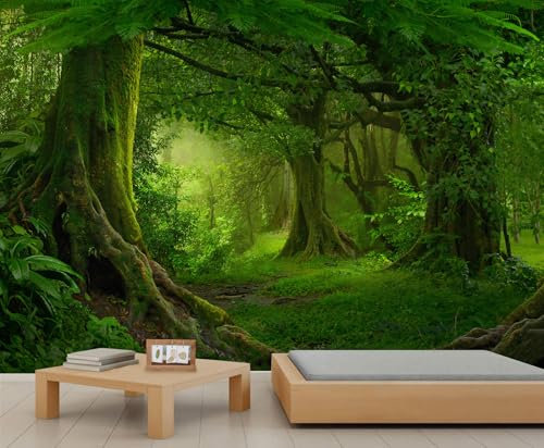 QDJKBL Natural Forest Wall Murals Tropical Rainforest Forest Wallpaper Mural Natural Scenery Big Trees Wallpaper for Living Room Bedroom Central Decoration 150 x 100 cm
