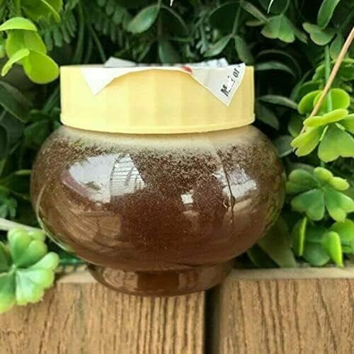 Vedasale Wild Himalayan Cliff Honey 200G From Lumjang Nepal Cliff Honey Nepal 7 Ounce