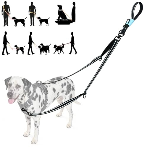 Tiesenci 2-Punkts Handsfree Ryckfri Hundkoppel Svart Stora Hundar | Midja/crossbody justerbar, bilbältesclip, kraftigt reflekterande, trasselfri, passar sele, 2.5 cm nylon