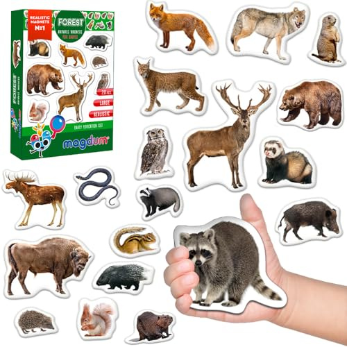 Magdum Kühlschrankmagnete für Kinder – 20 Waldtiere Magnete – Lernspielzeug | Große realistische Tiere für Kühlschrank, Whiteboard – Montessori Spielzeug für Klassenzimmer, Zuhause – Geschenk für Kinder