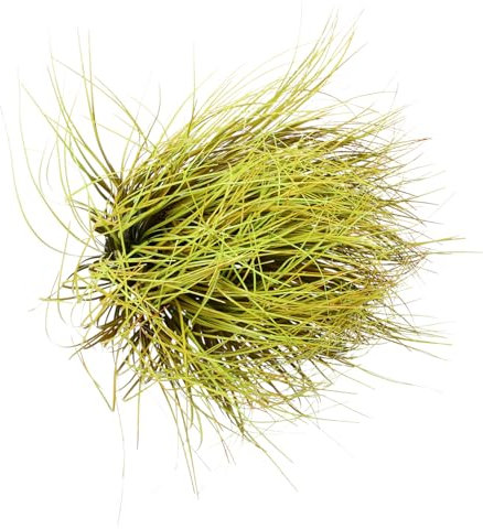 BESPORTBLE Simulated Cattail Decoration for Diorama Grass and Model Train Accessories Featuring Fake Grass Decor and Scale Train Accessories for Scale Track and Model Landscape Materials