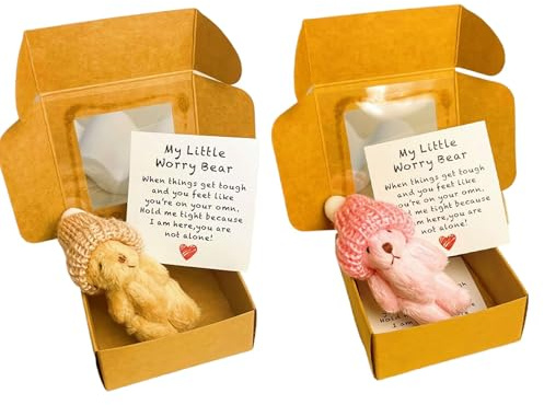 Sorgenbär in einer Box, Mein kleiner Sorgenbär in einer Box, Mini-Plüschbären mit inspirierenden Karten, Stressabbau-Geschenk für Studenten, Paare und Profis (Rosa und Braun)
