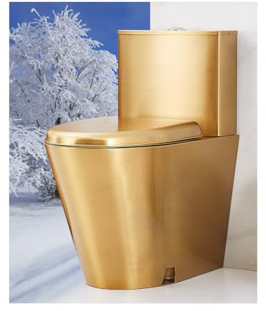 Toilette monoblocco ad alta efficienza, a risparmio idrico, antigelo e screpolature, 3/6 L, sifone a doppio scarico per case, binari ad alta velocità, metropolitane, camion, drenaggio a parete