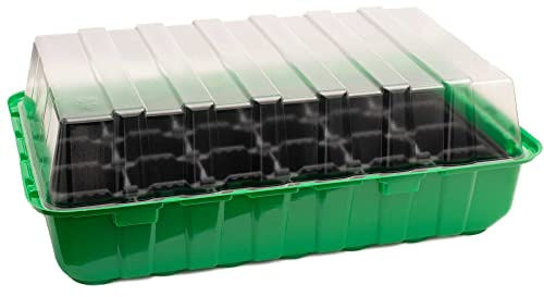 Romberg Anzuchthaus 4er Set | Mini Gewächshaus - ideales Wachstumsklima | 32 x 12 x 22 cm