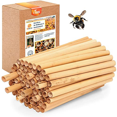 BEESI 200x Nisthülsen 14 cm lang für Insektenhotel aus Schilf I Durchmesser 4-7 mm inkl. E-Book I Für Bienenhotel Nisthilfe I Niströhren für Wildbienen (200x BEESI Schilf)