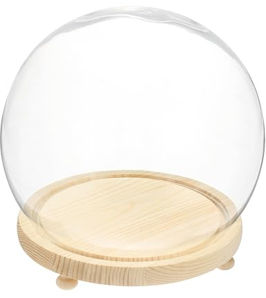 QUARKZMAN Runde Glasglocke 20 x 17 cm Dekorative Glasglocke Mit Holzfuß Für DIY Blumenhandwerk Sammlerstücke Pflanzen Staubschutz