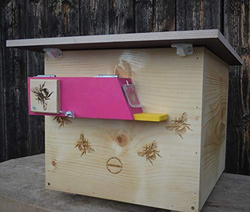 Profi XXXL Hummelkasten mit Wachsmottensperre und Zufütterung, 2X Sichtfenster und Nistmaterial geflammt oder Imprägniert Wetterfest Bienenhaus Hummelhaus Nistkasten Hummelvilla Bienen Insektenhaus